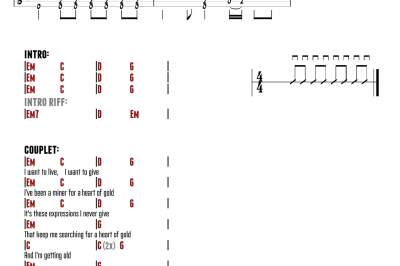 Heart of Gold van Neil Young op gitaar leren spelen?